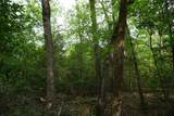 TBD2 County Road 1200 - Photo 10
