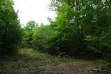 TBD2 County Road 1200 - Photo 13