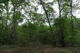 TBD2 County Road 1200 - Photo 24