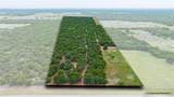 TBD Fm 3368 - Photo 1