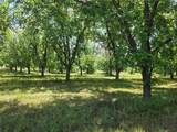 TBD Cr 446 - Photo 11