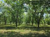 TBD Cr 446 - Photo 12