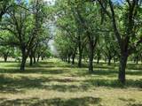 TBD Cr 446 - Photo 16