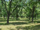 TBD Cr 446 - Photo 17