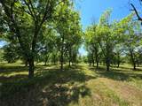 TBD Cr 446 - Photo 19