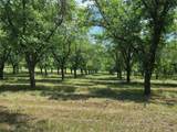 TBD Cr 446 - Photo 33