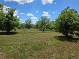 TBD Cr 446 - Photo 6
