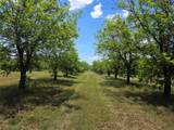 TBD Cr 446 - Photo 7