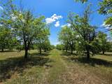TBD Cr 446 - Photo 8