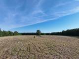 7453 Farm Road 412 - Photo 16