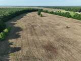 7453 Farm Road 412 - Photo 8