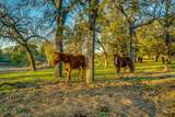 109 Tango Road - Photo 36