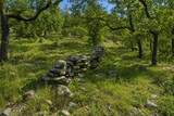 TBD Old Postoak Road - Photo 29
