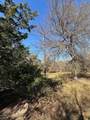 TBD Pink Hill/State 56 E Highway - Photo 7