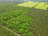 TBA County Road 3824 - Photo 10