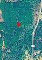 1931 County Road 4101 - Photo 13