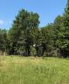 00 County Road 3105 - Photo 17