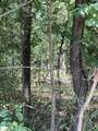 106 Red Bluff Loop - Photo 5