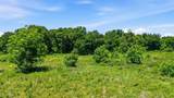 633 Stallion Meadows Drive - Photo 18
