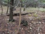 UNK Virginia Avenue - Photo 10