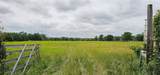 2260 Fm 16 - Photo 10