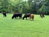 400 Vz County Road 4809 - Photo 7