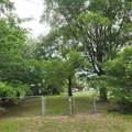 106 Summit Ridge Drive - Photo 2