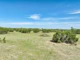 TBD County Road 2007 - Photo 4
