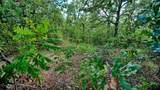 TBD Haigood - Photo 8