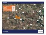 6598 Highway 67 - Photo 3