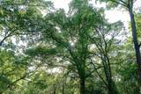 00 Off Of Farm To Market Road 2064 - Photo 27