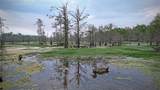 TBD County Rd 401 - Photo 1