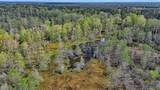 TBD County Rd 401 - Photo 21