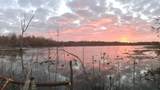 TBD County Rd 401 - Photo 33