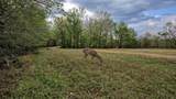 TBD County Rd 401 - Photo 35