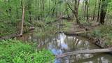 TBD County Rd 401 - Photo 38