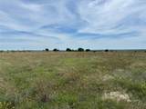 TBA County Road 619 - Photo 4