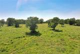 136 Acres Fm 2127 - Photo 15