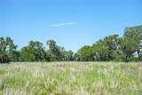 136 Acres Fm 2127 - Photo 28