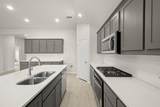 732 Scarlet Sage Drive - Photo 5