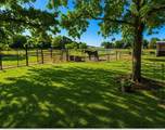 2801 County Road 115 - Photo 3