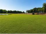2801 County Road 115 - Photo 7