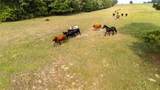 000 County Road 4520 - Photo 14