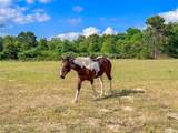 000 County Road 4520 - Photo 20