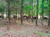 000 County Road 4520 - Photo 28
