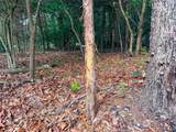 000 County Road 4520 - Photo 39