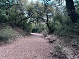 950 County Road 442 - Photo 1
