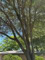 602 Karnes - Photo 4