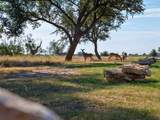 Lot 60 Birkdale Court - Photo 9