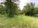 Lot 29 Twisted Creek Drive - Photo 14